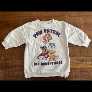 Zara Paw Patrol Sweater